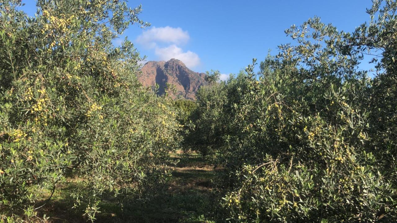 Su Cappeddu Agriturismo San Giorgio  Exteriér fotografie